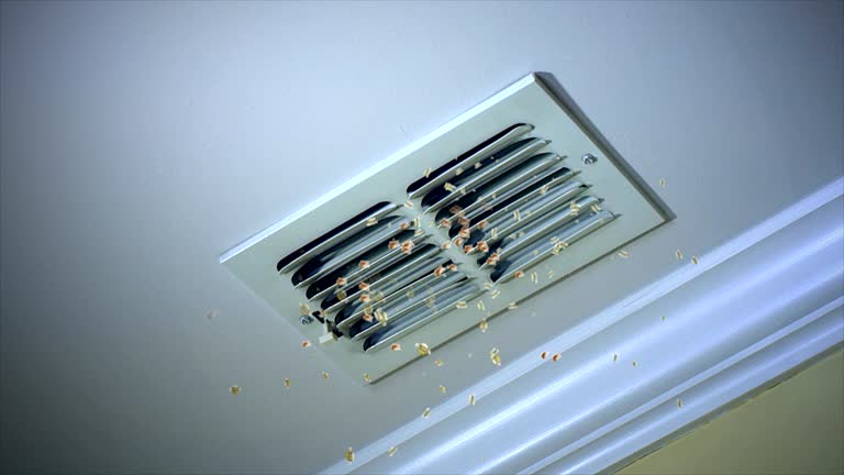 Best Affordable Air Duct Cleaning  in Central Islip, NY